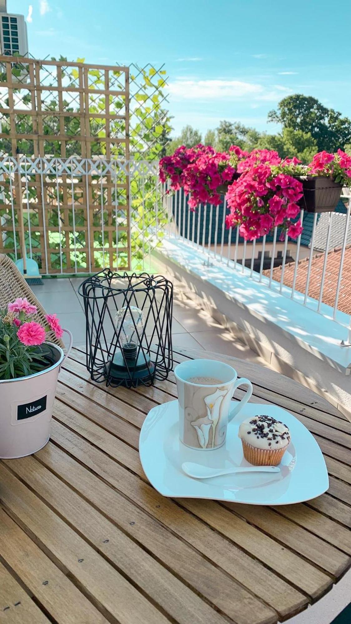 Atria Ii Apartment Vrnjacka Banja